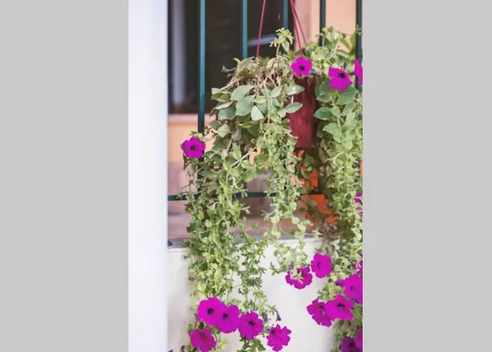 Spiti Maria Apartment *