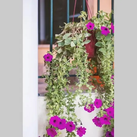 Spiti Maria Apartment *